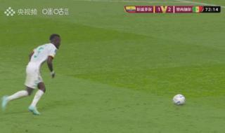 2002世界杯法国队名单 2002世界杯法国队名单